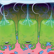 Tiny little bio robots